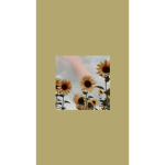 Daisyxcrazyyy