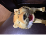 Tigers795