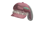 Roblox entity thumbnail