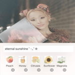 * + coconut clothing + *