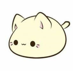 CatAcademy