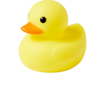 Ducks are the best! And all birds are the best!
