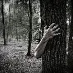 Scary forest