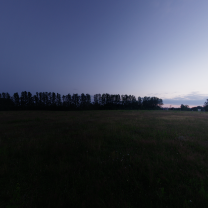 MIdnight Forest