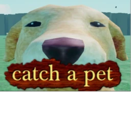 Catch a Pet🐕🐱🐈 icon