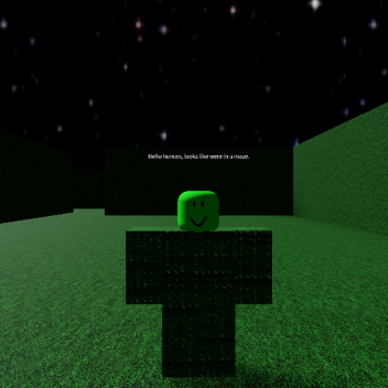 Doodle's Maze [we did it guys]