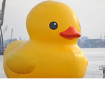 Duckeys are the best