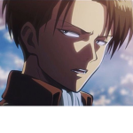 Levi ankerman bb