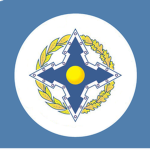 [cѕтo] Collective Rapid Reaction Force