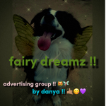 f a i r y | d r e a m z