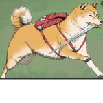 Doge_Nation!