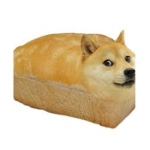 The Doge Studios