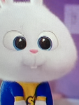 しょうたん