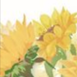 🌻