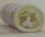 shibainyus!