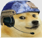 Doge Military Police [DMF]