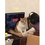 tom's ops