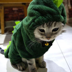 MLG RaptorDoge