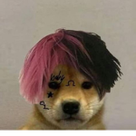Get noobed kid E