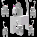 cute kitty