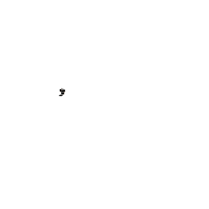 Ninja Morph