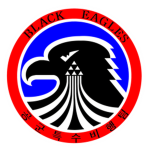 ||ROKAF|| Black Eagles