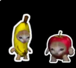 The Meme Cat Crew’s
