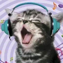 🎧