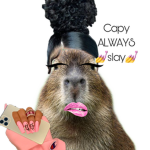 Markie Bara ._.