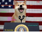 PRESIDENT DOGE GANG