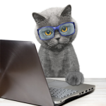 Meow Let's Play Fan Group