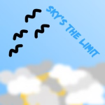 Sky's The Limit Group