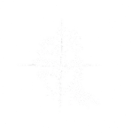 Wildheit