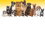 Puppies Squad Forever