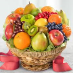 The Fruit Rebellion