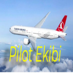 Pilot test