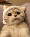 ＴＥАｋａｗａｉｉ