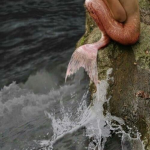 nampis