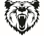 Team Bear Bro