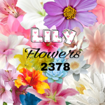 The lilly flower group!