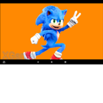 Sonic fan group / giveaways every year
