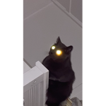 Totally not aliens