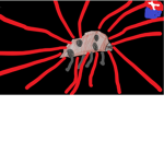 Bob epic kingdom