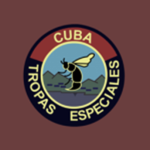 [RCU] Comando "Avispas Negras"