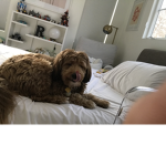 Coco Being