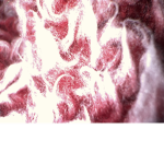 XxJAXxX
