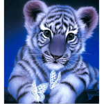 Our tigers
