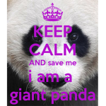 Keep Calm And Save some Pandas