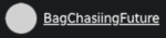 Bagchasingfuture