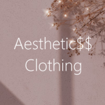 Aesthetic$$ Clothing